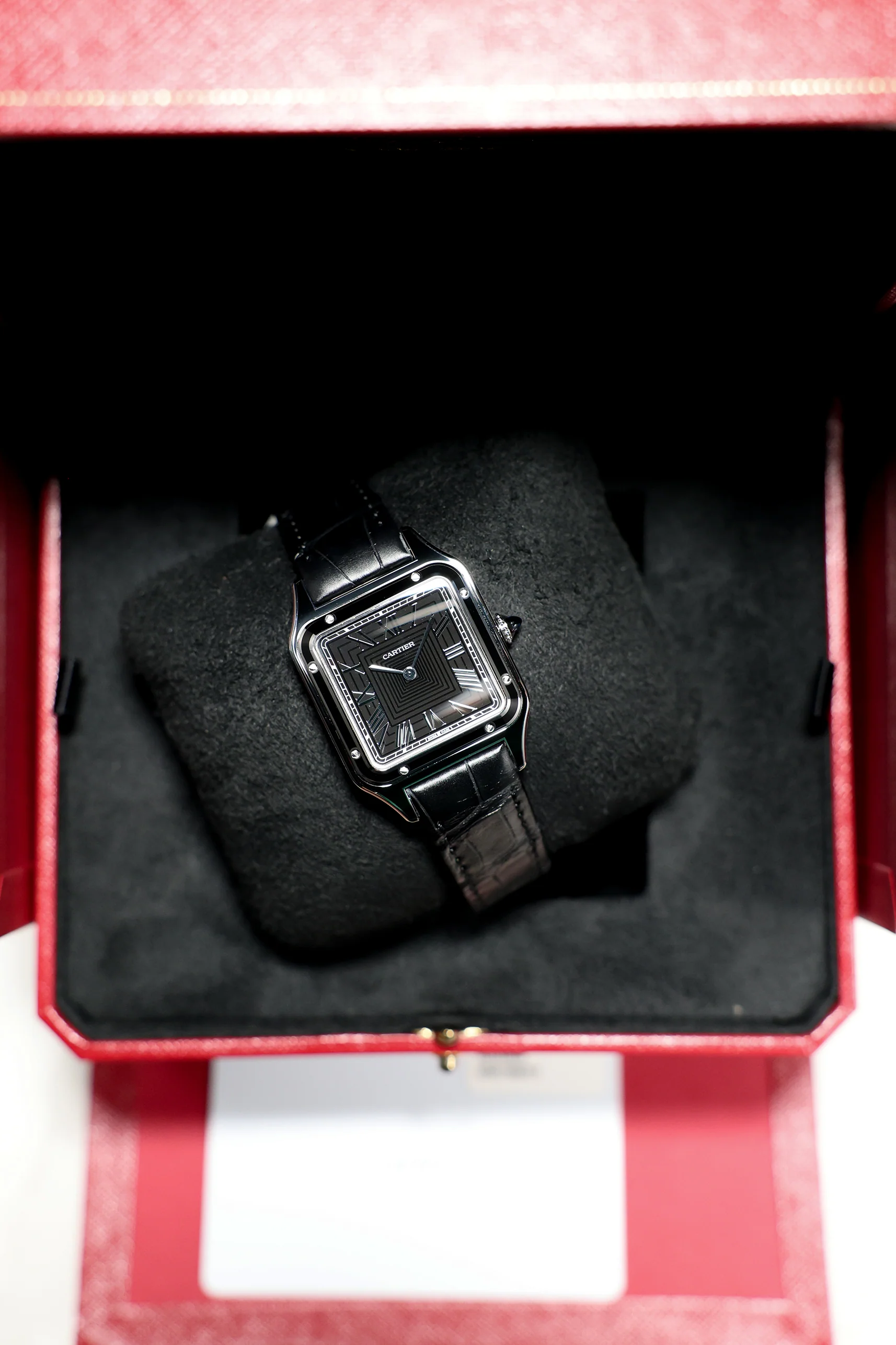 Cartier Santos Dumont Lacquer WSSA0046 - Image 14
