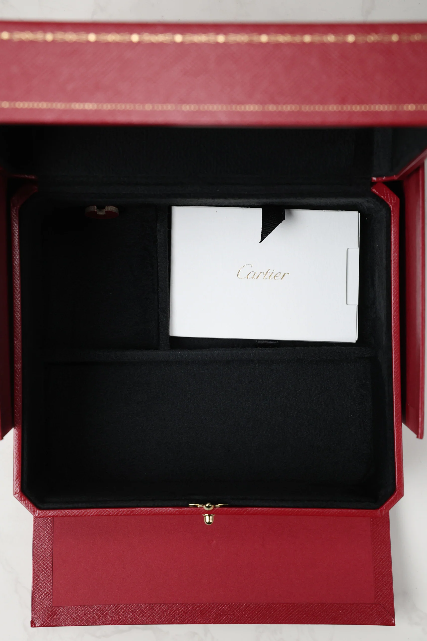 Cartier Santos Dumont Large WSSA0085 - Image 17