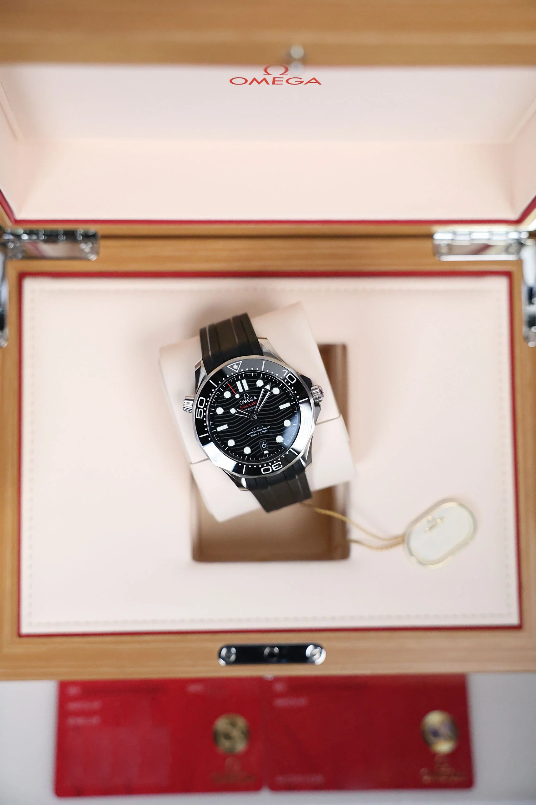 Omega Diver 300m Co-Axial Master Chronometer 42mm - Image 16