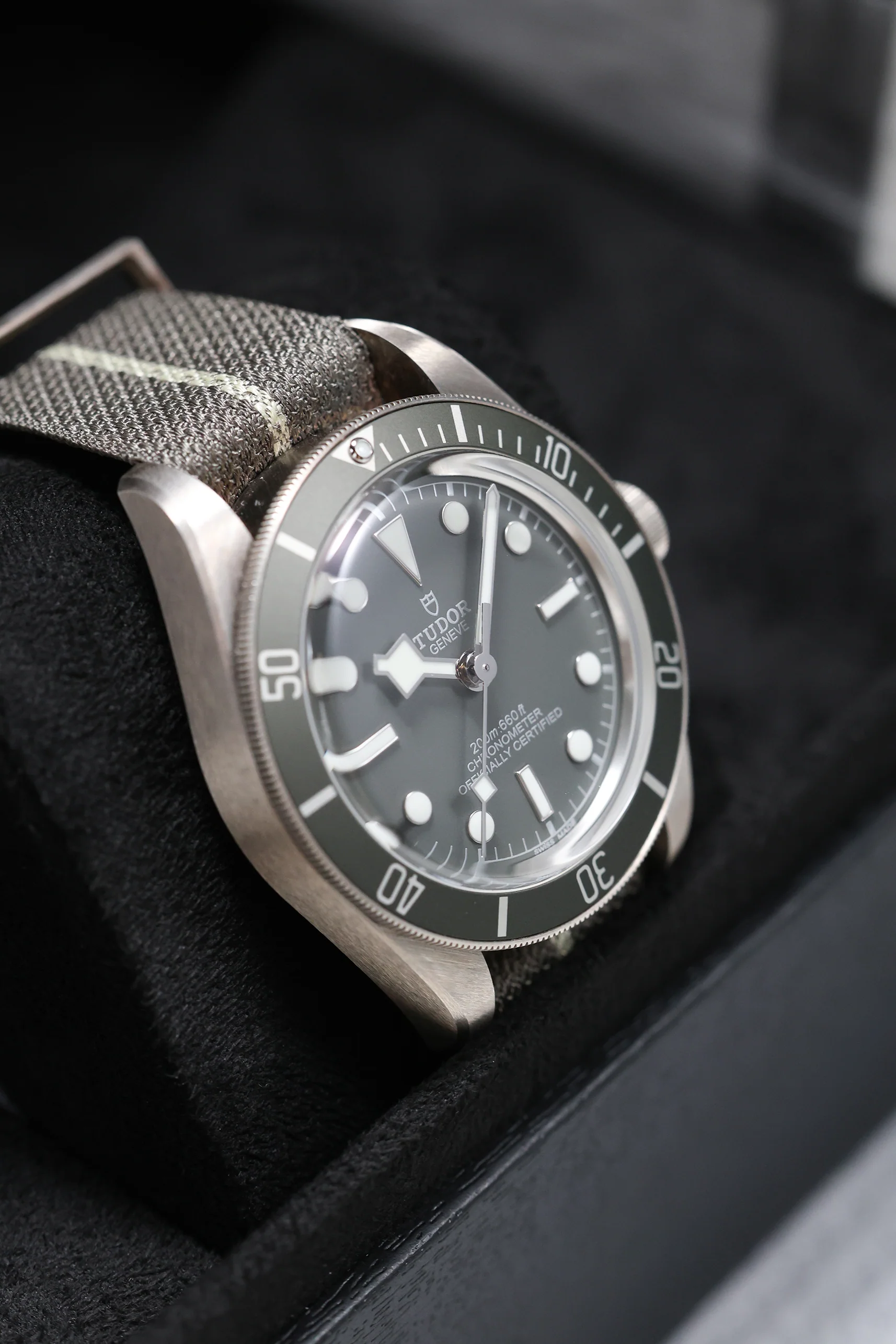 Tudor Black Bay 58 Silver 925 - 39mm 79010SG - Image 10